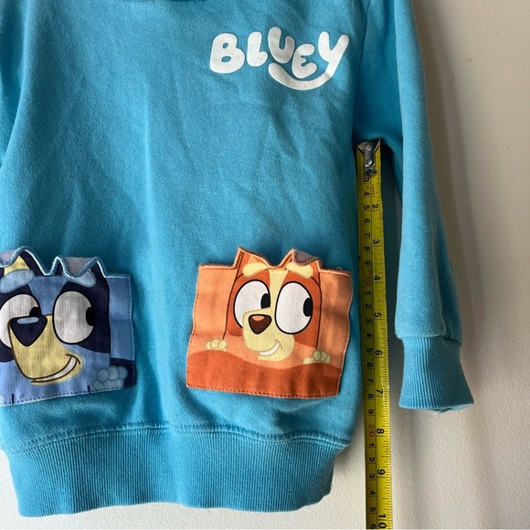 Bluey Kids Hoodie Sweatshirt 4T Blue Cartoon Pockets Heeler Characters Girls Boy - Picture 10 of 12